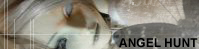 Angel Hunt