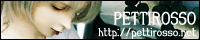 Pettirosso