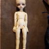 Arrival-Bambicrony-Cookie-Body-10