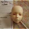 [Arrival] Eylyn - Migidoll Mu - 08