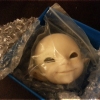 Arrival-FL-Realfee-SoSo-Faceplate-05