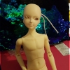 Arrival-Mirodoll-Lili-Head-04