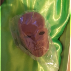 [Arrival] Onalah
