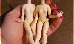 [Arrival] PiccoNeemo Bodies