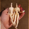 Arrival-PiccoNeemo-Bodies-02