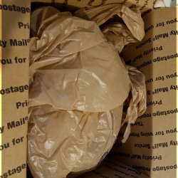 [Arrival] Thayne