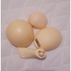 Arrival-Youpladolls-Ziya-Normal-Skin-Wrong-Order-08