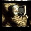 PhotoShoot - Shadows & Fur