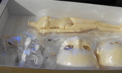 [Arrival] Pullip MIO Kit Arrival