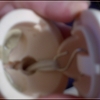 To Unstring a DZ Mini - 003