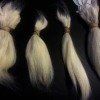 Suri-Alpaca-Separated-Cleaned