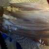 Svar-Wig-WIP-00
