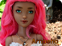 Arnaeha Holn